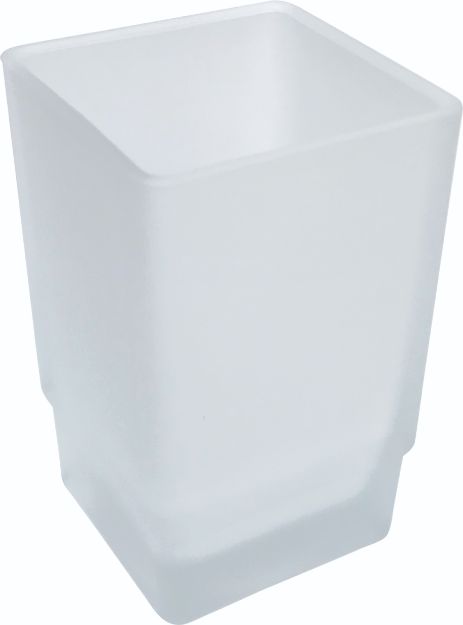 Diş Fırçalık Camı